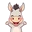 Donkeycomedy.Com